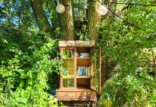 Una estantería de libros al aire libre junto a un árbol, rodeada de vegetación y luz solar cerca de un pod.