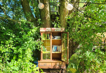 Una estantería de libros al aire libre junto a un árbol, rodeada de vegetación y luz solar cerca de un pod.