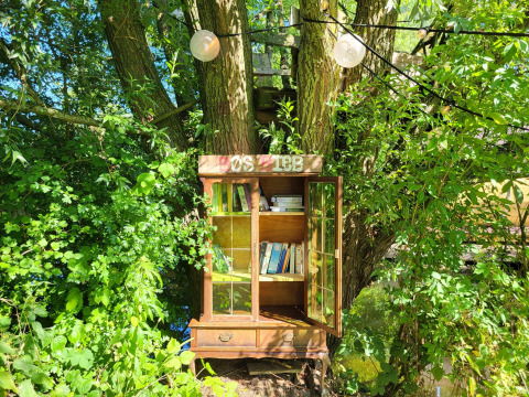 Una estantería de libros al aire libre junto a un árbol, rodeada de vegetación y luz solar cerca de un pod.