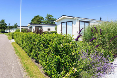 Solrig udsigt til Berkel-hytten på EuroParcs Parc du Soleil, Holland, omgivet af grønne hække og blomster.
