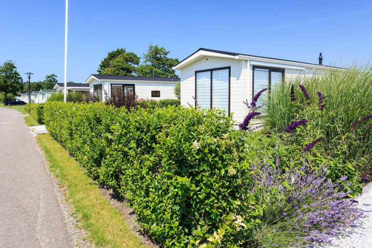 Vista soleada de la cabaña Berkel en EuroParcs Parc du Soleil, Países Bajos, rodeada de setos y flores.