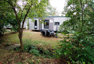 Buitenaanzicht van de Taos XL Delux Mobile home lodge op Baalse Hei, België, omgeven door bomen.