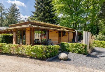 Buitenaanzicht van het Tiny Chalet in Bungalowpark Het Verscholen Dorp, Nederland, omgeven door groen en bomen.