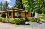 Buitenaanzicht van het Tiny Chalet in Bungalowpark Het Verscholen Dorp, Nederland, omgeven door groen en bomen.