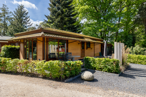 Buitenbeeld van het Tiny Chalet in Bungalowpark Het Verscholen Dorp in Nederland, tussen het groen en bomen.