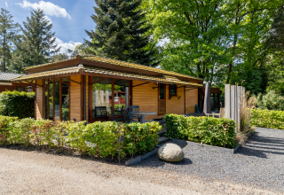 Buitenbeeld van het Tiny Chalet in Bungalowpark Het Verscholen Dorp in Nederland, tussen het groen en bomen.