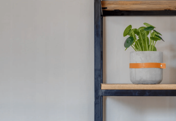 Estantería moderna con plantas y cerámicas en salón acogedor del Tiny Chalet, Het Verscholen Dorp, Países Bajos.
