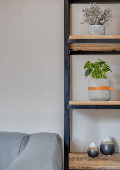 Moderne bogreol med planter og keramik i hyggelig stue på Tiny Chalet, Het Verscholen Dorp, Holland.