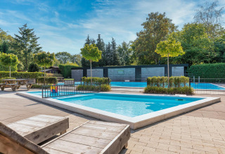 Zona exterior de piscina con piscina infantil poco profunda, árboles y tumbonas en un alojamiento glamping.