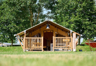 Tienda safari Villatent Compact en Camping Betuwe, Países Bajos, rodeada de césped verde y árboles altos.