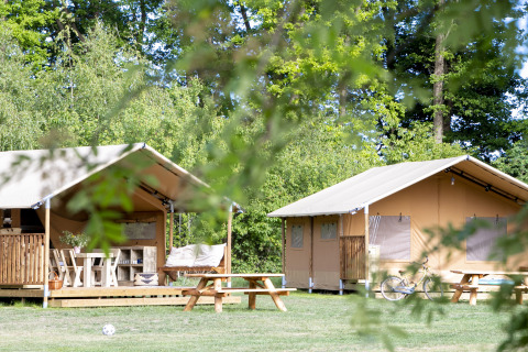 Tentes safari sur un camping, avec tables de pique-nique et vélo, entourées d’arbres par temps ensoleillé.