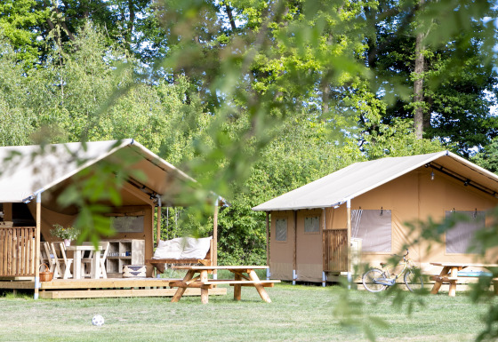 Safaritenten op een camping met picknicktafels, fiets en veel groen op een zonnige dag in de natuur.