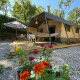 Safari teltet Base Lodge med hængekøje, blomsterkrukke og træterrasse omgivet af grønne træer.