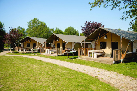 Række safari telte Villatent Nomad på Vakantiepark de Twee Bruggen, omkranset af træer i Holland.