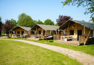 Tentes safari Villatent Nomad à Vakantiepark de Twee Bruggen, aux Pays-Bas, alignées dans la verdure.