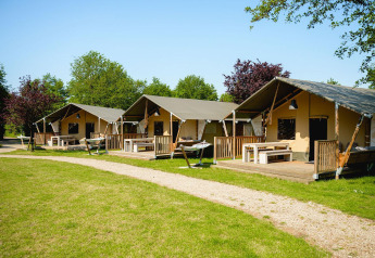 Safari tents Villatent Nomad at Vakantiepark de Twee Bruggen, Netherlands, lined up in a green park.