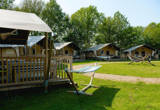 Vue sur les tentes safari Villatent Nomad et les hamacs au Vakantiepark de Twee Bruggen, Pays-Bas.