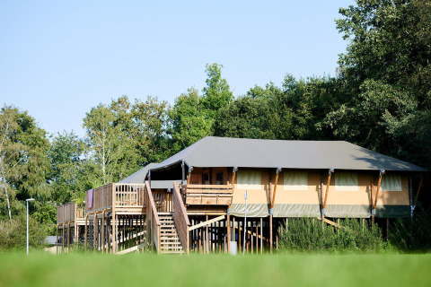 Tente safari Safaricottage XL sur pilotis au Holiday Park Sallandshoeve aux Pays-Bas entourée d’arbres.