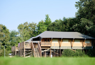 Tente safari Safaricottage XL sur pilotis au Holiday Park Sallandshoeve aux Pays-Bas entourée d’arbres.