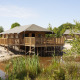 Grote Safaricottage XL met houten terras aan het water in Holiday Park Sallandshoeve, Nederland, tussen het groen.