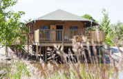 Tienda safari Safaricottage XL sobre pilotes en Holiday Park Sallandshoeve, Países Bajos, rodeada de naturaleza.