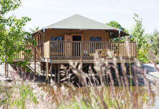 Tienda safari Safaricottage XL sobre pilotes en Holiday Park Sallandshoeve, Países Bajos, rodeada de naturaleza.