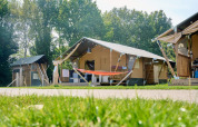 Safari-telt ved Holiday Park Sallandshoeve i Holland, omgivet af grønt græs og store træer.
