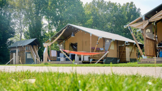 Tente safari au Holiday Park Sallandshoeve aux Pays-Bas, entourée de pelouse et d’arbres verdoyants.