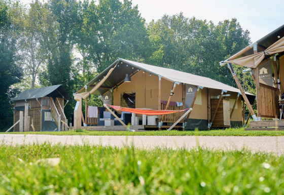 Tente safari au Holiday Park Sallandshoeve aux Pays-Bas, entourée de pelouse et d’arbres verdoyants.