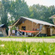 Safaritent bij Holiday Park Sallandshoeve in Nederland, omringd door grasveld en hoge bomen.