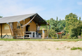 Safari-Zelt im Holiday Park Sallandshoeve, Niederlande, mit Terrasse und Hängematte in grüner Umgebung.