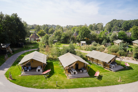 Safari tents at Holiday Park Sallandshoeve in the Netherlands, set on green lawns with lush surroundings.