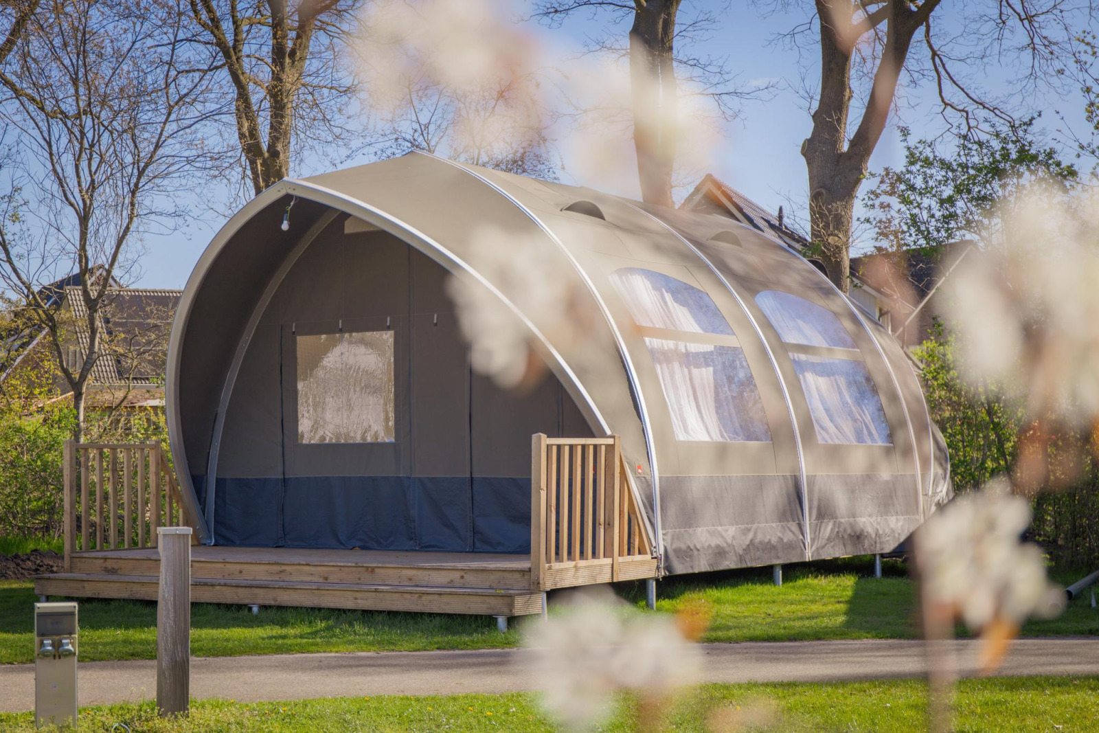 «Big Oak Tent»