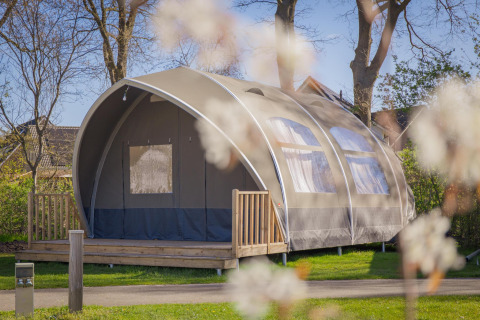 Grande tente-lodge Big Oak Tent au Holiday Park Sallandshoeve aux Pays-Bas, entourée de verdure et d’arbres.