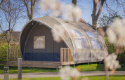 En stor, moderne teltlodge kaldet Big Oak Tent på Holiday Park Sallandshoeve i Holland omgivet af natur.