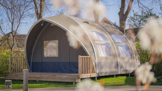 Grande tente-lodge Big Oak Tent au Holiday Park Sallandshoeve aux Pays-Bas, entourée de verdure et d’arbres.