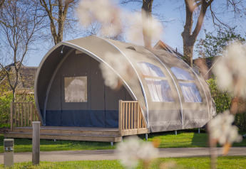 Grande tente-lodge Big Oak Tent au Holiday Park Sallandshoeve aux Pays-Bas, entourée de verdure et d’arbres.