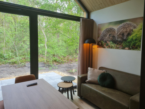 Acogedora sala en Tiny house l de Camping Si-Es-An, Países Bajos, con grandes ventanas hacia el bosque.