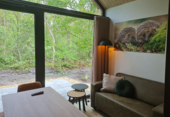 Acogedora sala en Tiny house l de Camping Si-Es-An, Países Bajos, con grandes ventanas hacia el bosque.