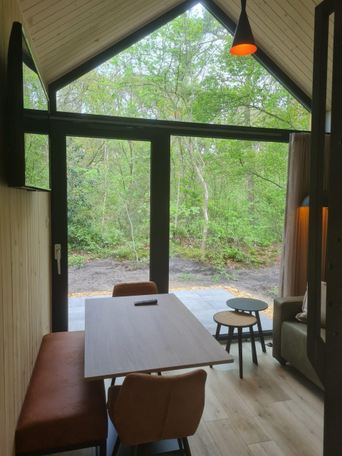 Vista interior de una tiny house con grandes ventanales, muebles modernos y vista al bosque exterior.