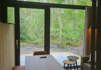 Vista interior de una tiny house con grandes ventanales, muebles modernos y vista al bosque exterior.