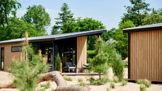 Casa pequeña moderna llamada Sand Lodge en Holiday Park De IJsvogel, Países Bajos, rodeada de árboles y arena.