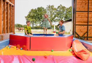Children play and jump in a colorful ball pit inside a safari tent, with a farm and trees seen outside.