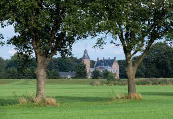 Foto de un edificio tipo castillo visto entre dos árboles en un campo verde en alojamiento glamping.