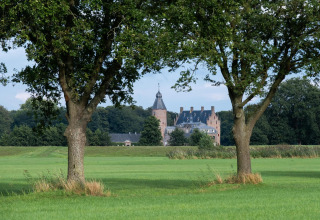 Foto de un edificio tipo castillo visto entre dos árboles en un campo verde en alojamiento glamping.