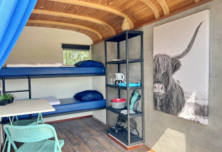 Interieur van de Tiny Wagon bij Marina Parcs Almere met stapelbed, rek en grote koeienfoto