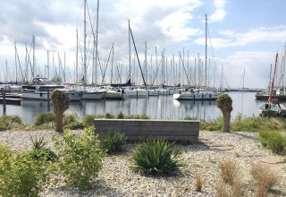 Vista desde House boat 4-Almere en Marina Parcs Almere, con banco, plantas y muchos veleros en los Países Bajos.