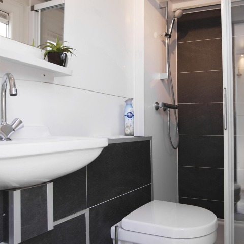 Moderne badkamer op een woonboot in Almere, Nederland, met douche, toilet, lavabo en groene plant.