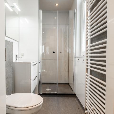 Baño moderno con ducha, inodoro blanco y lavabo en Biebosch - tuinhuis en Resort Mooi Bemelen, Países Bajos.