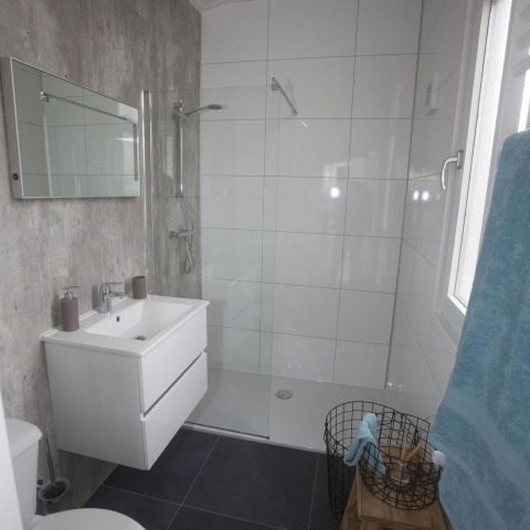 Salle de bains moderne avec douche, miroir et lavabo au Biebosch - tuinhuis, Resort Mooi Bemelen, Pays-Bas.